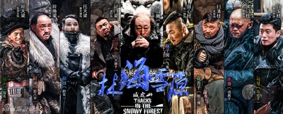 林海雪原的海报-预告海报