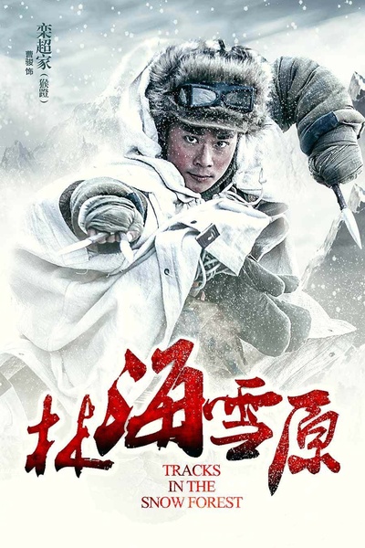 林海雪原的海报-角色海报