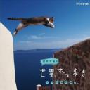 岩合光昭的猫步走世界
