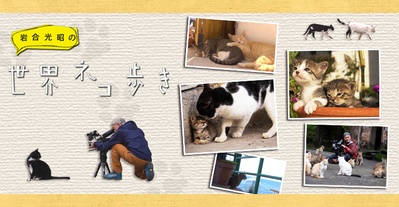 岩合光昭的猫步走世界的海报-正式海报 日本