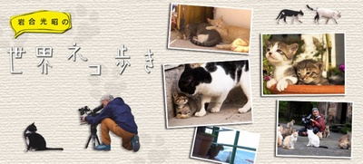 岩合光昭的猫步走世界的海报-正式海报