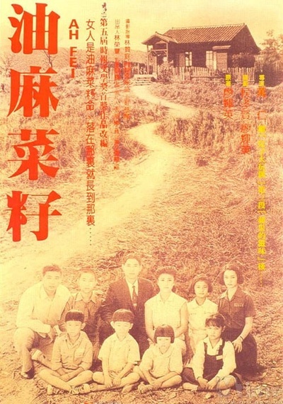 油麻菜籽的海报-正式海报