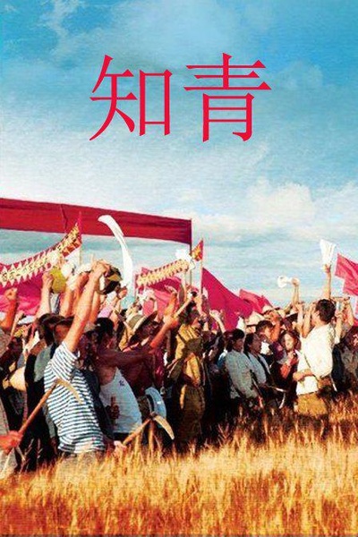 知青的海报-正式海报