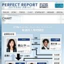 完美报告