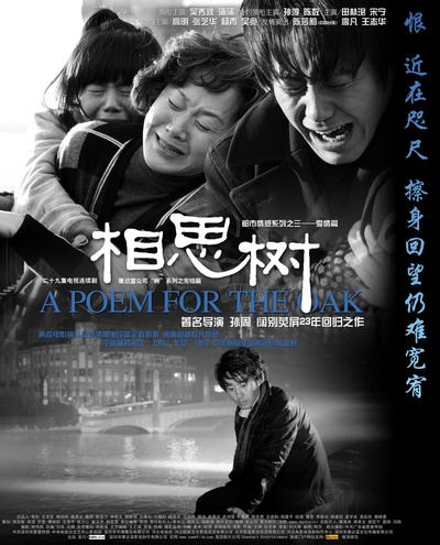 相思树的海报-正式海报