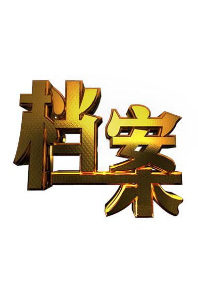 档案的海报-正式海报
