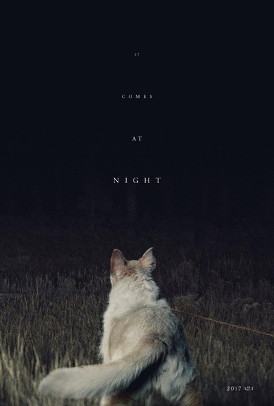 黑夜造访的海报-正式海报 美国