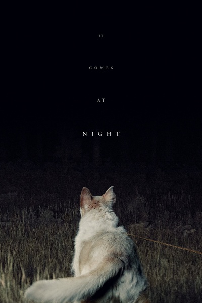 黑夜造访的海报-预告海报 美国