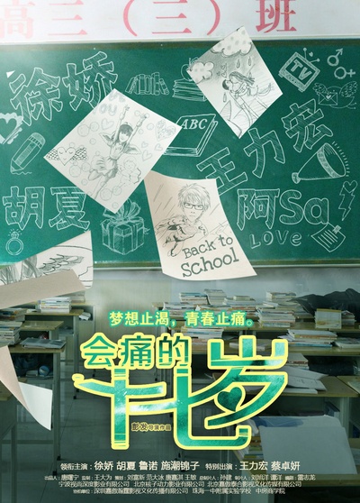 会痛的十七岁的海报-预告海报 中国大陆