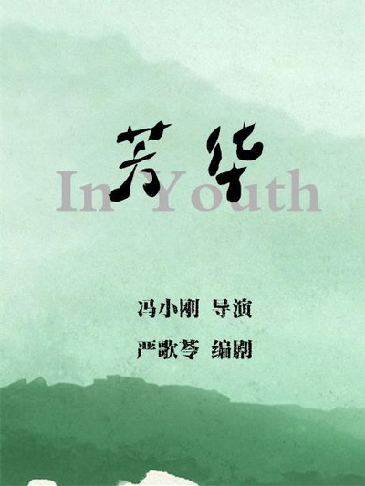 芳华的海报-其他海报
