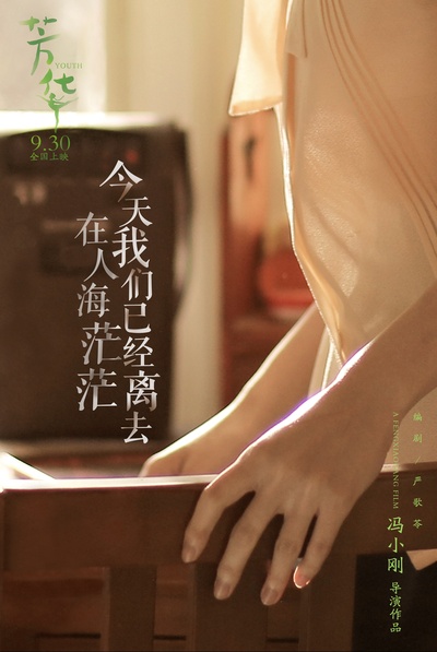芳华的海报-其他海报 中国大陆