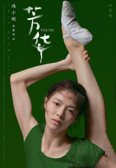 芳华的海报-其他海报 中国大陆