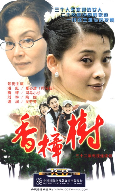 香樟树的海报-正式海报