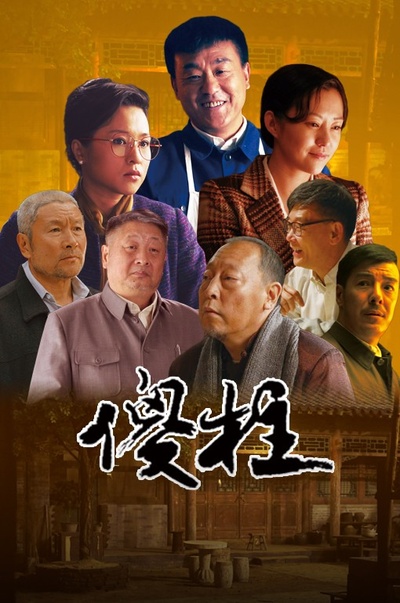 傻柱的海报-正式海报