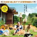 猫咪后院之家