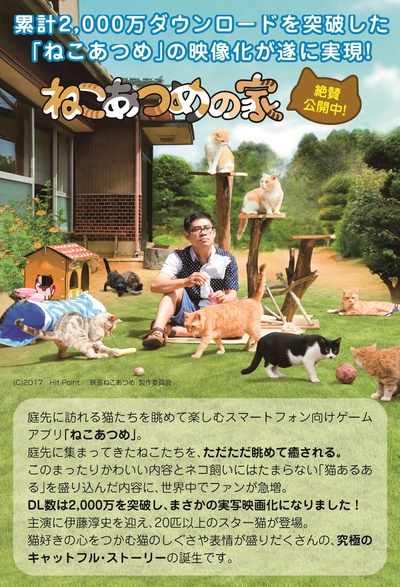 猫咪后院之家的海报-其他海报