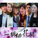 一树桃花开