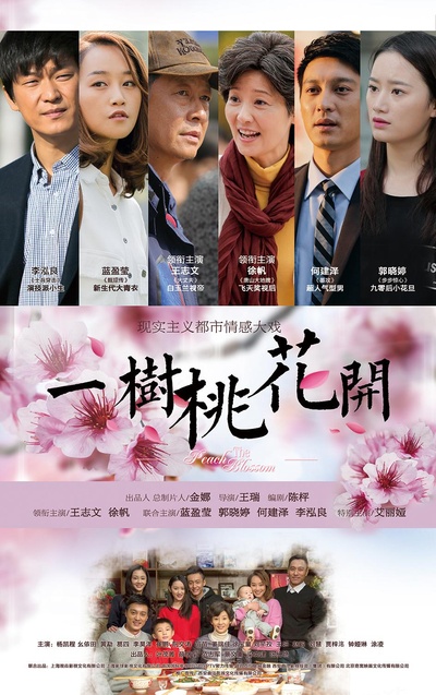 一树桃花开的海报-正式海报