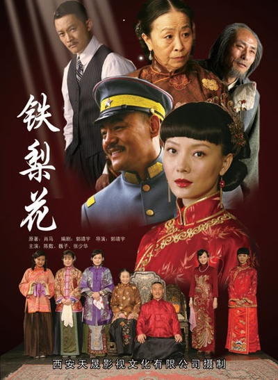 铁梨花的海报-正式海报