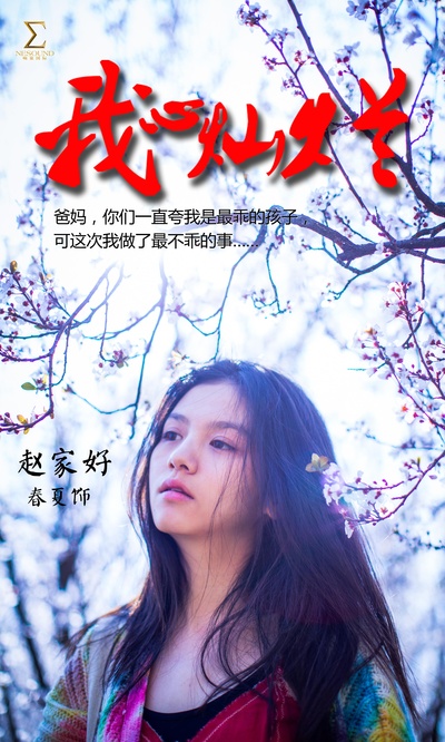 我心灿烂的海报-角色海报 中国大陆