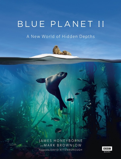 蓝色星球2的海报-正式海报