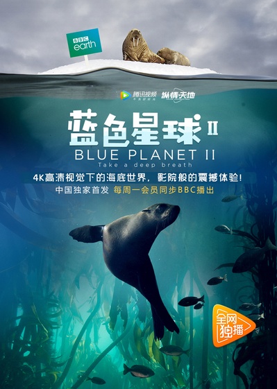 蓝色星球2的海报-正式海报 中国大陆