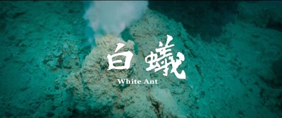 白蚁的海报-其他海报 台湾