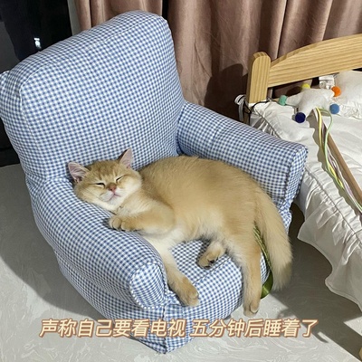 什么时候你怀疑你的猫不是猫，是其他生物的图片-我不光怀疑他是个人 我现在怀疑是我爸本人