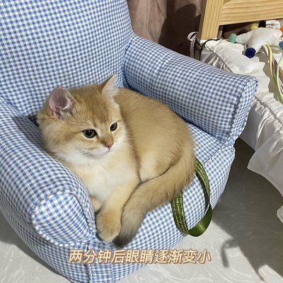 什么时候你怀疑你的猫不是猫，是其他生物的图片-我不光怀疑他是个人 我现在怀疑是我爸本人