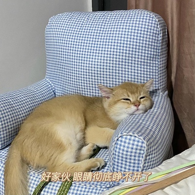 什么时候你怀疑你的猫不是猫，是其他生物的图片-我不光怀疑他是个人 我现在怀疑是我爸本人
