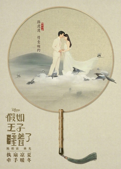 假如王子睡着了的海报-预告海报