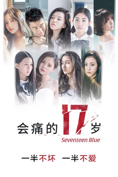 会痛的17岁的海报-正式海报