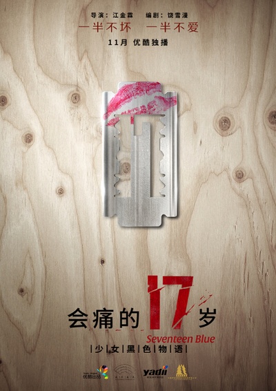 会痛的17岁的海报-预告海报