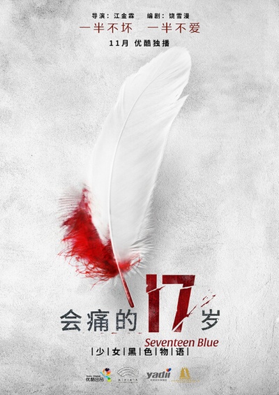 会痛的17岁的海报-预告海报