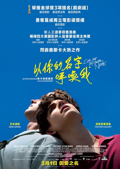 请以你的名字呼唤我的海报-正式海报 香港