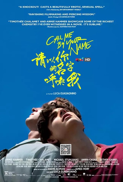 请以你的名字呼唤我的海报-其他海报