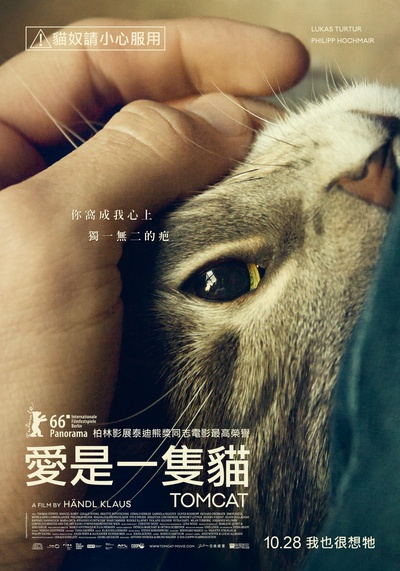 公猫的海报-正式海报 台湾