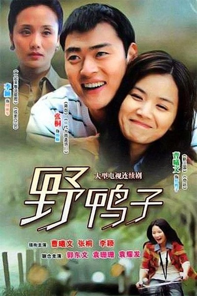 野鸭子的海报-正式海报