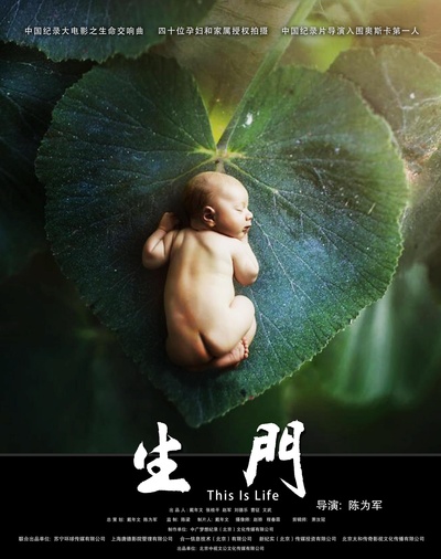 生门的海报-正式海报