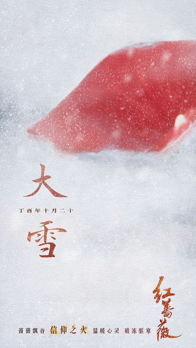 红蔷薇的海报-其他海报