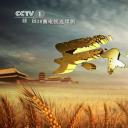 天下粮田