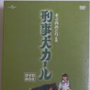 警犬卡尔