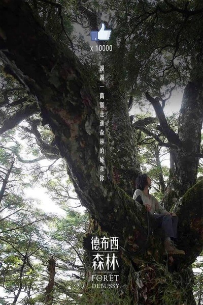德布西森林的海报-预告海报 台湾