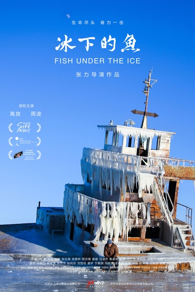 冰下的鱼的海报-正式海报 中国大陆