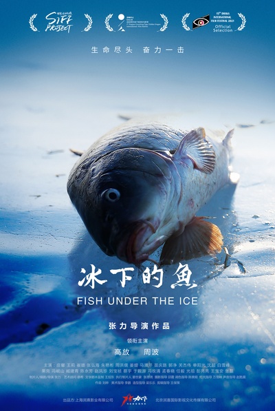 冰下的鱼的海报-正式海报 中国大陆