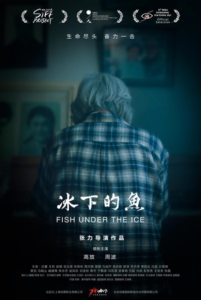 冰下的鱼的海报-正式海报 中国大陆