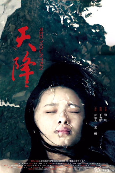 天降的海报-正式海报 中国大陆