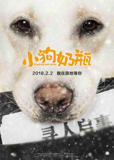 小狗奶瓶的海报-正式海报 中国大陆