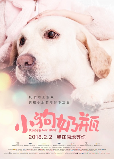 小狗奶瓶的海报-预告海报 中国大陆