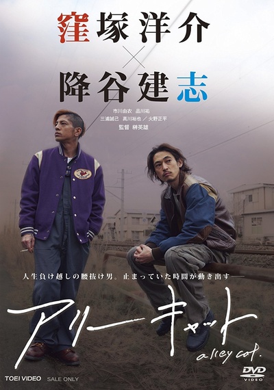 野良猫的海报-其他海报 日本